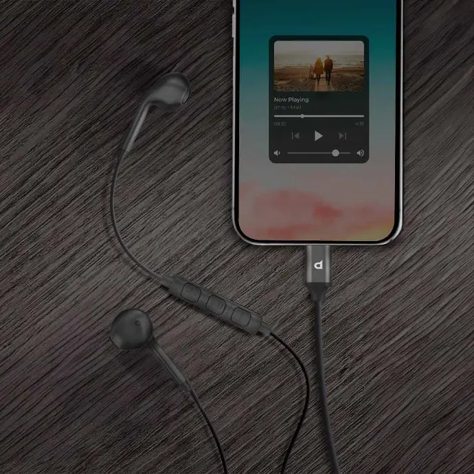 Earphones With Lightning Cable