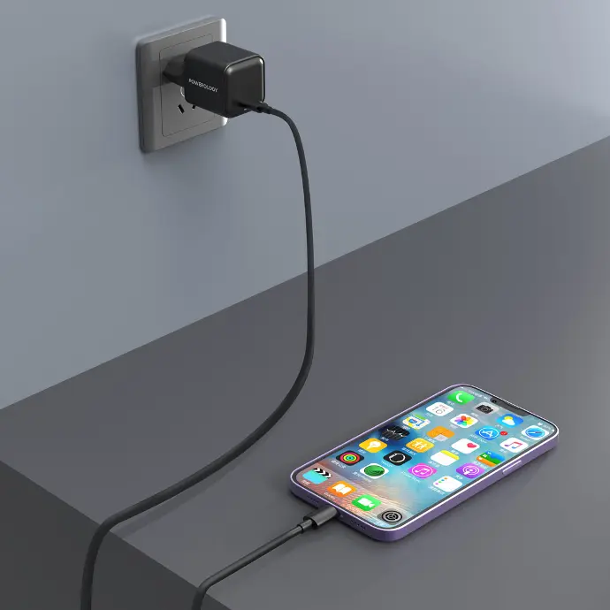 Type-C Charger