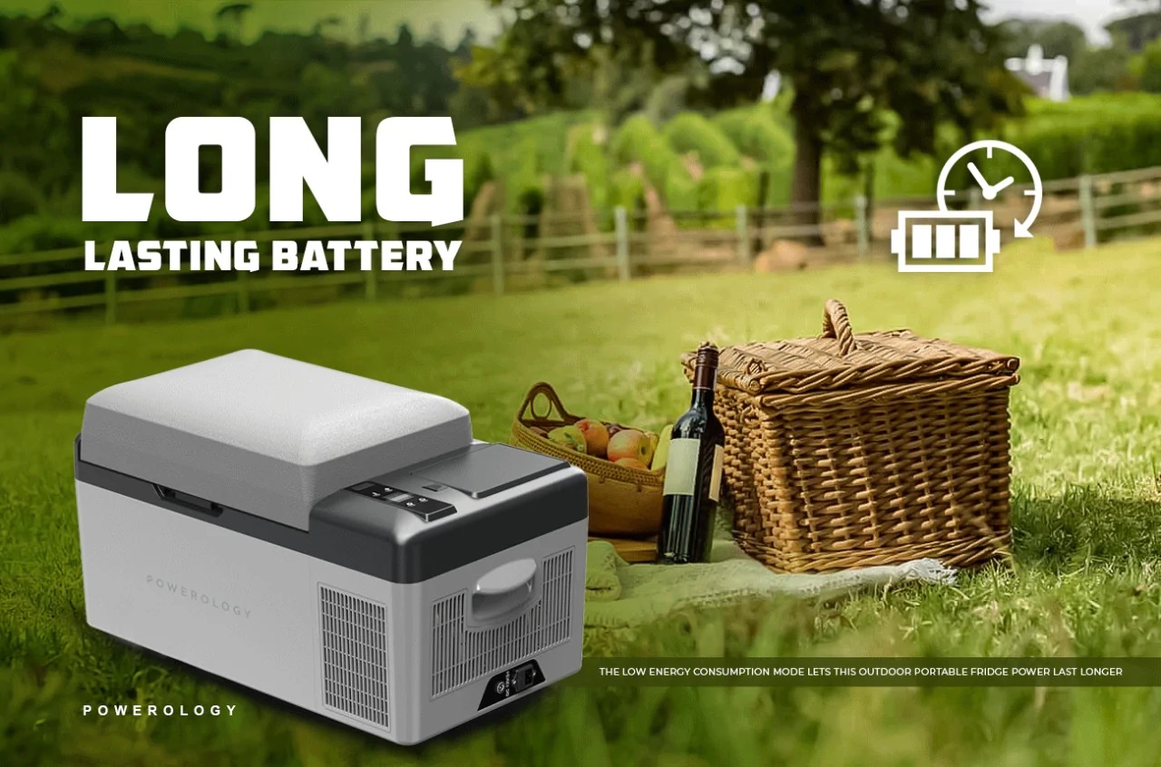 alt="Powerology Smart Portable Outdoor Fridge and Freezer basket fruit and red vine"