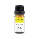 Powerology Signature Scent Premium Fragrance Oil