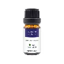 Powerology Signature Scent Premium Fragrance Oil