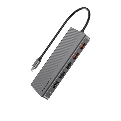 [P121HBCGY] Powerology 12-In-1 HDMI & DisplayPort USB-C HUB Ethernet - Gray