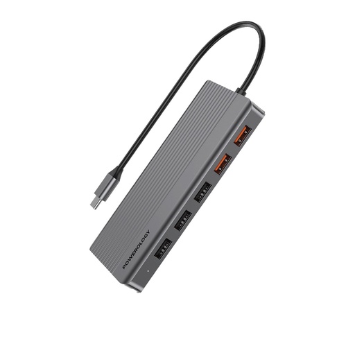 [P121HBCGY] Powerology 12in1 USB-C Hub HDMI Type-C 100W PD Ethernet VGA USB SD MicroSD 3.5AUX - Dark